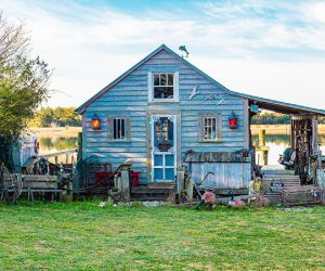 Blue Castaway by Donna Hodgins