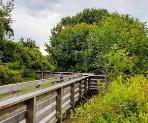 Marshwalk at Lawson Creek Park in New Bern, NC