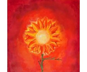 Brian Cardoza - Phoenix Dandelion