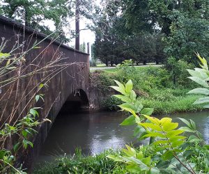 Bridge over Caswell Branch