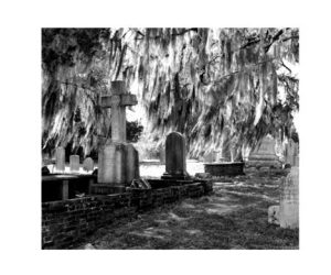 Lunch and Learn at Tryon Palace