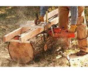 Chainsaw Sawmill Demonstration