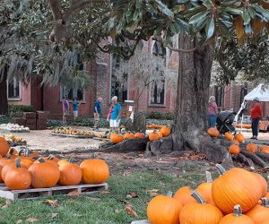 Christ Church's Pumpkin Patch