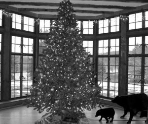 Christmas Memories by June Kent