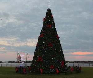 Community Christmas Tree in Downtown New Bern NC