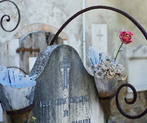 Coastal Photo Club Competition