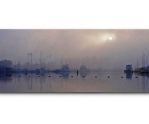 Coastal Photo Club Competition