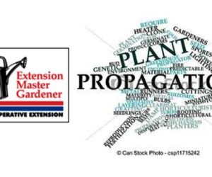 Cooperative Extension Agricultural Workshop