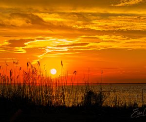 Corolla Sunset by Evie Chang Henderson