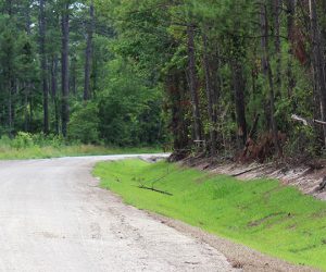 County Line Road adjacent to Bluewater Rise in New Bern, NC. (Photo by Wendy Card)