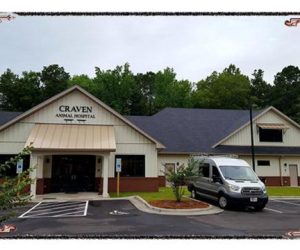 Craven Animal Hospital