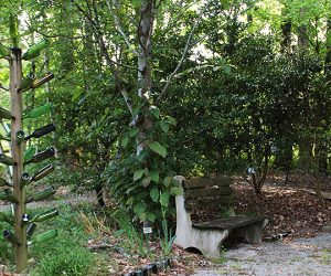 Craven Cooperative Extension Demonstration Garden in New Bern, NC