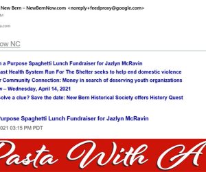 Daily Newsletter Email