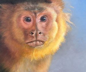 David Starbuck - Bananas