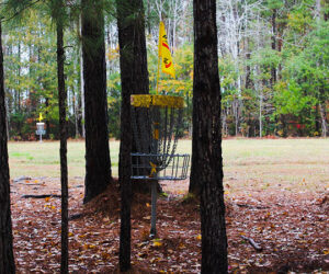 Disc Golf at Creekside Park