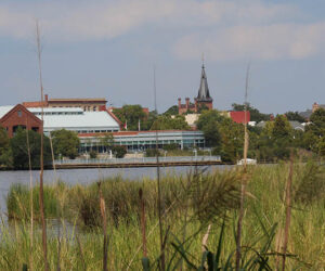 Downtown New Bern cityscape. (NBN Photo/Wendy Card)