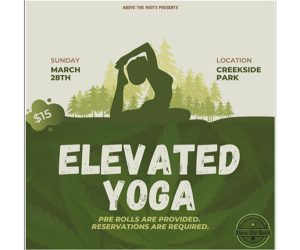 Elevated Yoga