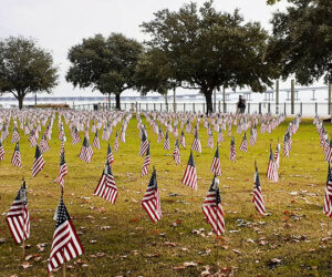 Field of Flags at Union Point Park in New Bern, NC