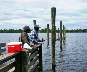 Fishing at Glenburnie Park