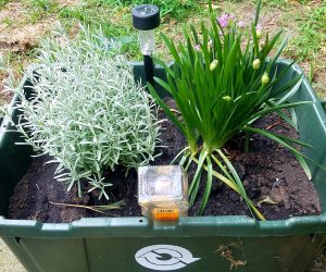 Gardening for Pollinators