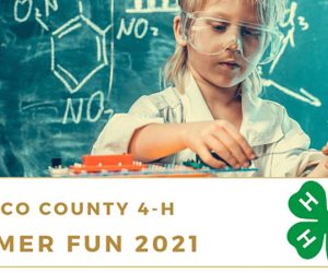 Go Fish Summer Fun Camp