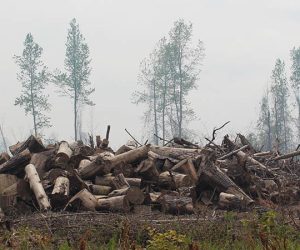 Photo of Great Lakes Fire in Croatan National Forest taken on April 22, 2023. (Photo by Wendy Card)