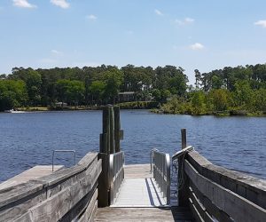 Gull Pointe Public Access area