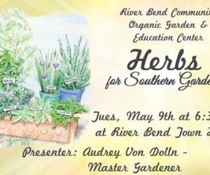 Herbs for Southern Gardens