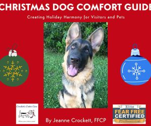 Holiday Dog Comfort Guide