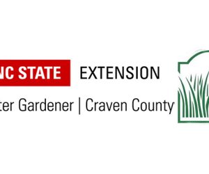 Horticultural Workshop - March 2018