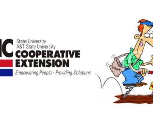 Vegetable Gardening ’As the Season Turns’