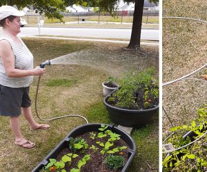 In the Weeds - May 22