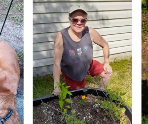 In the Weeds - May 8 2021