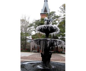 Weekend Events New Bern NC