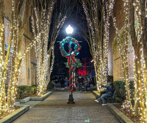 James Reed Lane in New Bern, NC (photo by Elaine Rouse)