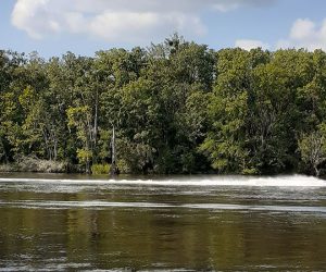 Jet Skiing on Neuse River
