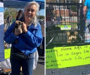 Jo Anna Dressler Kloster with puppy and her novel