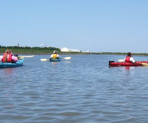 Kayak the Salt Marsh