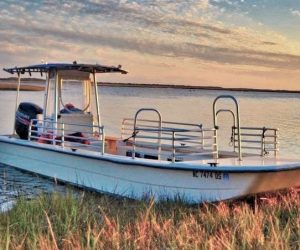 Lady Swan Boat Tours