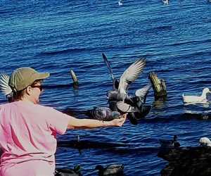 Feeding birds at Union Point Park