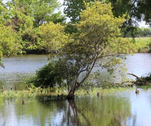 Lawson Creek in New Bern, NC