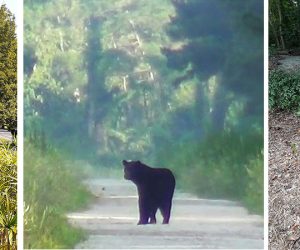 Photos taken in and around New Bern, NC