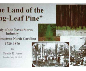 Land of the Long Leaf Pine