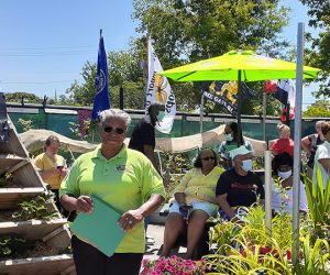 Lovay Wallace-Singleton