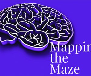 Mapping the Maze