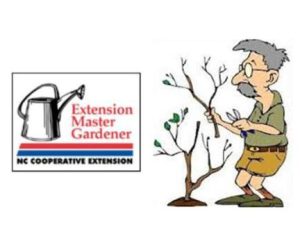 Free Horticultural Workshop Program