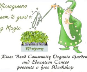 Microgreens Workshop