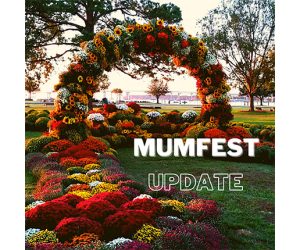MumFest Update