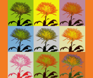 MumdayMumday by Scott Sirkin