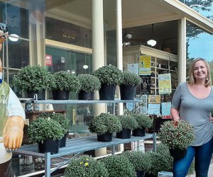 Mums at Mitchell Hardware